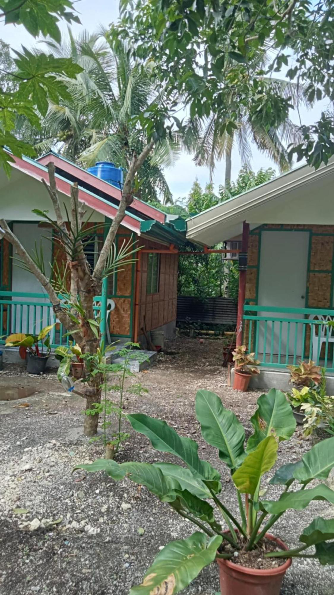 Bohol Triple M Tourist Inn タグビララン エクステリア 写真